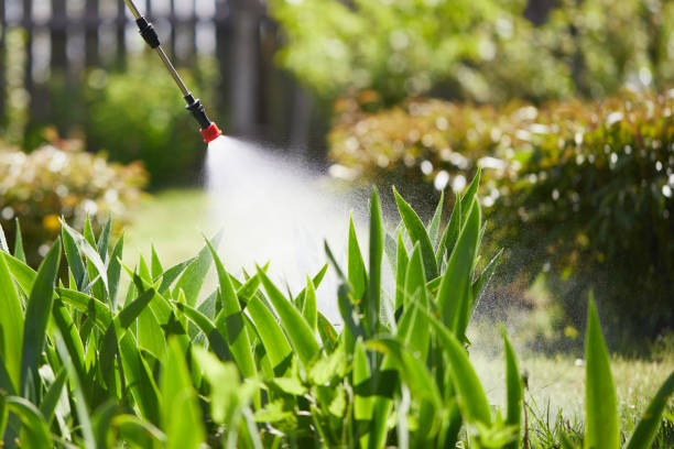 24/7 Emergency Wasp Removal experts in Fort Scott, KS