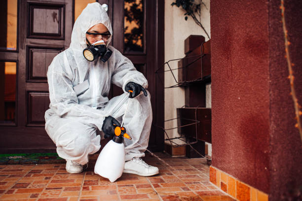 Reliable Wasp Removal contractor in Fort Scott, KS by Show Me Pest Control