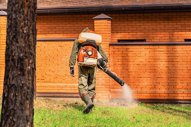 Top rated local Wasp Removal specialists in Fort Scott, KS